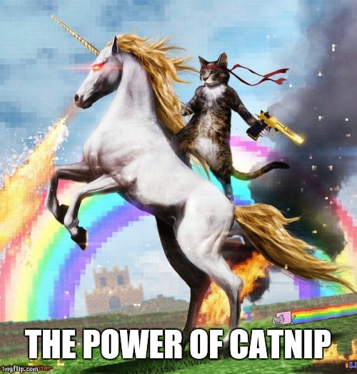 Welcome To The Internets Meme | THE POWER OF CATNIP | image tagged in memes,welcome to the internets | made w/ Imgflip meme maker