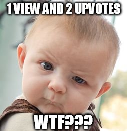 Skeptical Baby Meme | 1 VIEW AND 2 UPVOTES WTF??? | image tagged in memes,skeptical baby | made w/ Imgflip meme maker