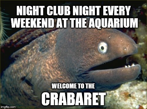 10pm to 4am Friday and Saturday | NIGHT CLUB NIGHT EVERY WEEKEND AT THE AQUARIUM; WELCOME TO THE; CRABARET | image tagged in memes,bad joke eel | made w/ Imgflip meme maker