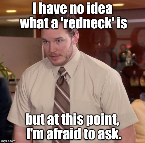 Afraid To Ask Andy | I have no idea what a 'redneck' is; but at this point, I'm afraid to ask. | image tagged in memes,afraid to ask andy | made w/ Imgflip meme maker