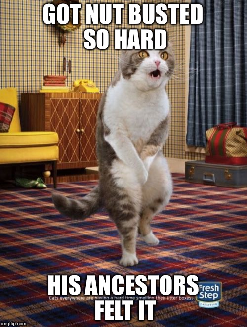 Gotta Go Cat | GOT NUT BUSTED SO HARD; HIS ANCESTORS FELT IT | image tagged in memes,gotta go cat | made w/ Imgflip meme maker