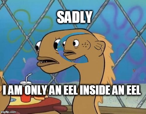 Picture in Picture | SADLY I AM ONLY AN EEL INSIDE AN EEL | image tagged in sadly i am only an eel | made w/ Imgflip meme maker