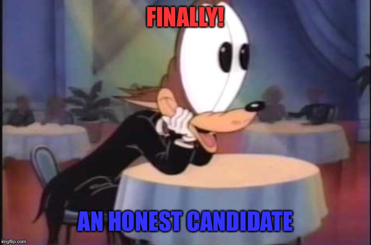 BIG EYED WOLF | FINALLY! AN HONEST CANDIDATE | image tagged in big eyed wolf | made w/ Imgflip meme maker
