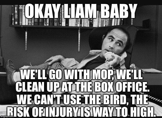 OKAY LIAM BABY WE'LL GO WITH MOP, WE'LL CLEAN UP AT THE BOX OFFICE. WE CAN'T USE THE BIRD, THE RISK OF INJURY IS WAY TO HIGH. | made w/ Imgflip meme maker