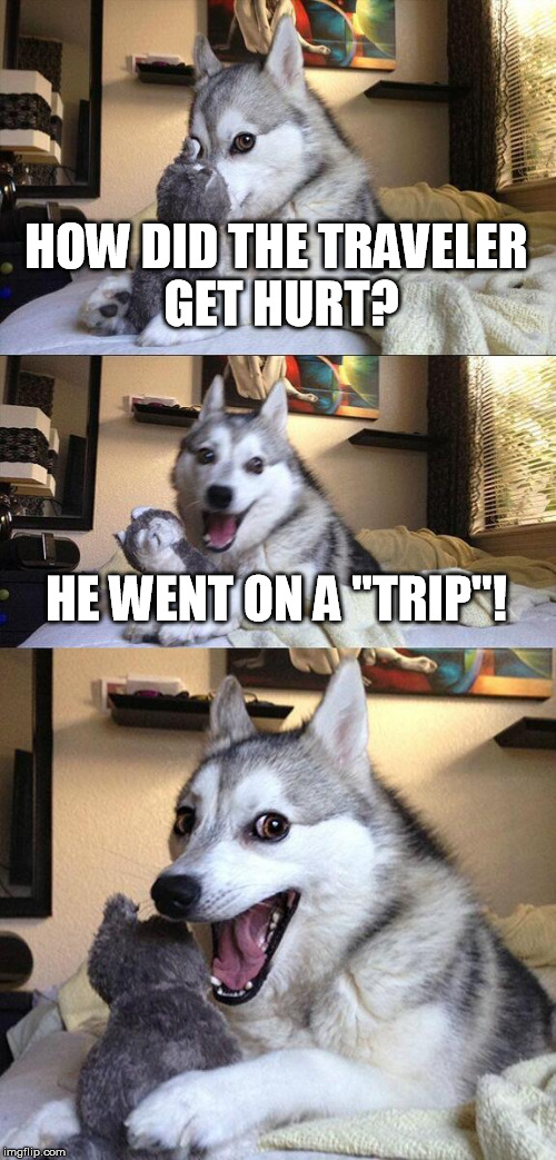 well its supposed to be "bad pun dog" but he looks like a wolf so its "Bad Pun Wolf" | HOW DID THE TRAVELER GET HURT? HE WENT ON A "TRIP"! | image tagged in memes,bad pun dog | made w/ Imgflip meme maker