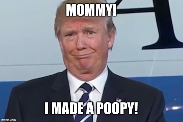 donald trump | MOMMY! I MADE A POOPY! | image tagged in donald trump | made w/ Imgflip meme maker
