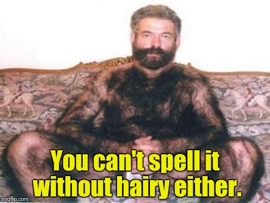 You can't spell it without hairy either. | made w/ Imgflip meme maker