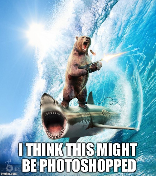 Bear Riding Shark | I THINK THIS MIGHT BE PHOTOSHOPPED | image tagged in bear riding shark | made w/ Imgflip meme maker