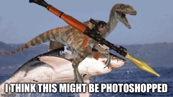 Rpg Raptor riding Shark | I THINK THIS MIGHT BE PHOTOSHOPPED | image tagged in rpg raptor riding shark | made w/ Imgflip meme maker