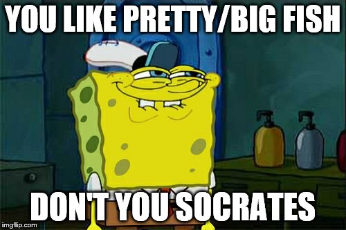 Don't You Squidward Meme | YOU LIKE PRETTY/BIG FISH DON'T YOU SOCRATES | image tagged in memes,dont you squidward | made w/ Imgflip meme maker