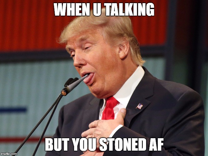 WHEN U TALKING; BUT YOU STONED AF | image tagged in donald trump,smoke weed everyday,420 blaze it,mlg,president 2016,youtube | made w/ Imgflip meme maker