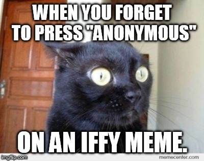 Scared Cat | WHEN YOU FORGET TO PRESS "ANONYMOUS"; ON AN IFFY MEME. | image tagged in scared cat | made w/ Imgflip meme maker