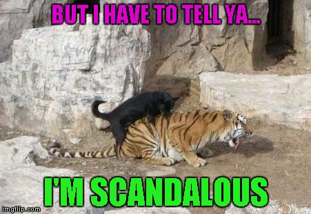 BUT I HAVE TO TELL YA... I'M SCANDALOUS | made w/ Imgflip meme maker