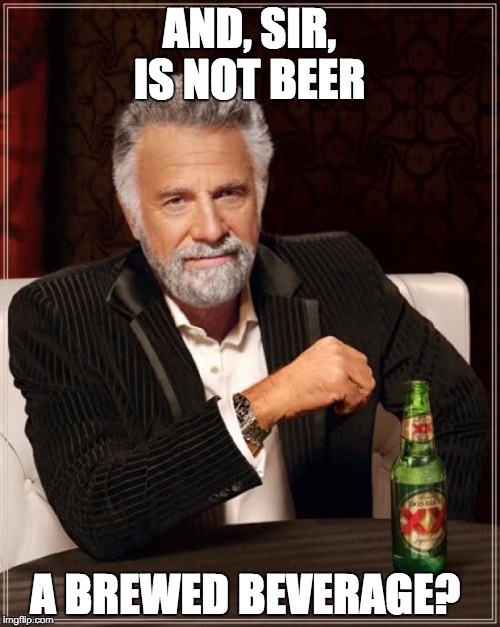 The Most Interesting Man In The World Meme | AND, SIR, IS NOT BEER A BREWED BEVERAGE? | image tagged in memes,the most interesting man in the world | made w/ Imgflip meme maker