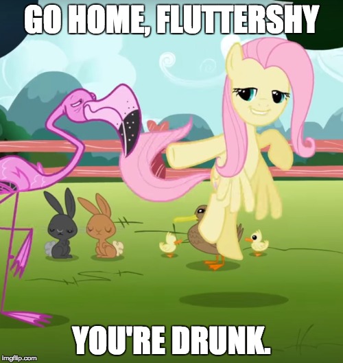 Friendship is Drugged  |  GO HOME, FLUTTERSHY; YOU'RE DRUNK. | image tagged in my little pony,fluttershy,go home youre drunk | made w/ Imgflip meme maker