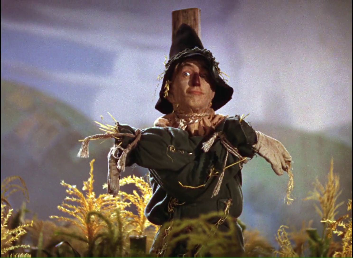 High Quality Wizard of Oz Scarecrow which way Blank Meme Template