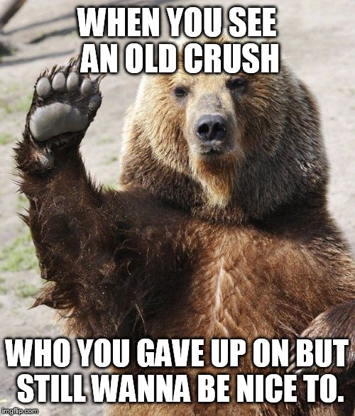 Hello bear | WHEN YOU SEE AN OLD CRUSH; WHO YOU GAVE UP ON BUT STILL WANNA BE NICE TO. | image tagged in hello bear | made w/ Imgflip meme maker