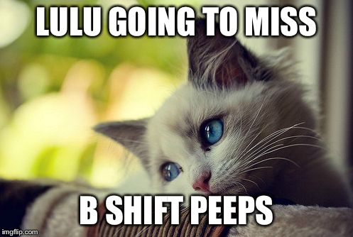 First World Problems Cat Meme | LULU GOING TO MISS; B SHIFT PEEPS | image tagged in memes,first world problems cat | made w/ Imgflip meme maker