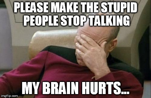 Captain Picard Facepalm Meme | PLEASE MAKE THE STUPID PEOPLE STOP TALKING; MY BRAIN HURTS... | image tagged in memes,captain picard facepalm | made w/ Imgflip meme maker