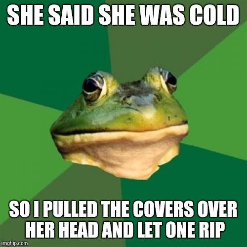who says chivalry is dead? I was trying to warm her up. | SHE SAID SHE WAS COLD; SO I PULLED THE COVERS OVER HER HEAD AND LET ONE RIP | image tagged in memes,foul bachelor frog,farts | made w/ Imgflip meme maker