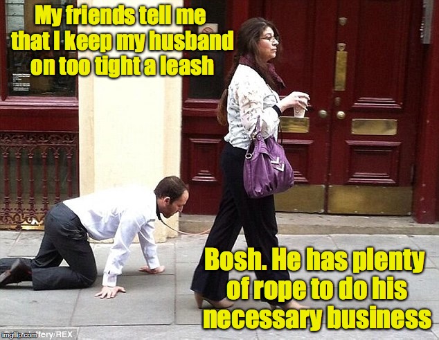 any more and he'd hang himself | My friends tell me that I keep my husband on too tight a leash; Bosh. He has plenty of rope to do his necessary business | image tagged in dog man,leash,funny | made w/ Imgflip meme maker