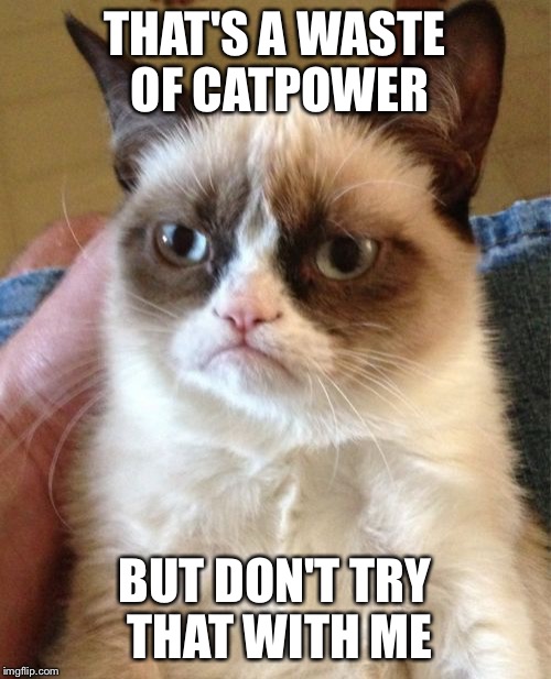 Grumpy Cat Meme | THAT'S A WASTE OF CATPOWER BUT DON'T TRY THAT WITH ME | image tagged in memes,grumpy cat | made w/ Imgflip meme maker