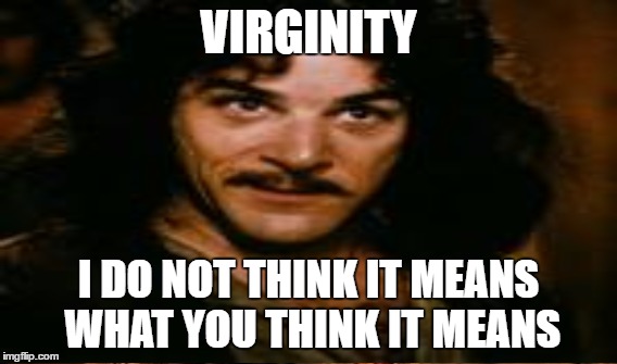 VIRGINITY I DO NOT THINK IT MEANS WHAT YOU THINK IT MEANS | made w/ Imgflip meme maker