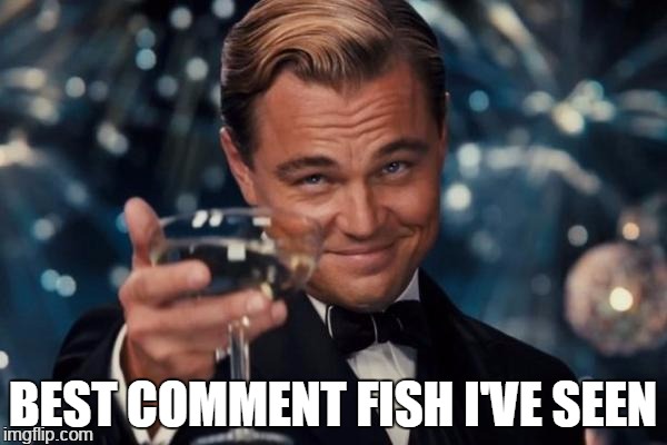 Leonardo Dicaprio Cheers Meme | BEST COMMENT FISH I'VE SEEN | image tagged in memes,leonardo dicaprio cheers | made w/ Imgflip meme maker