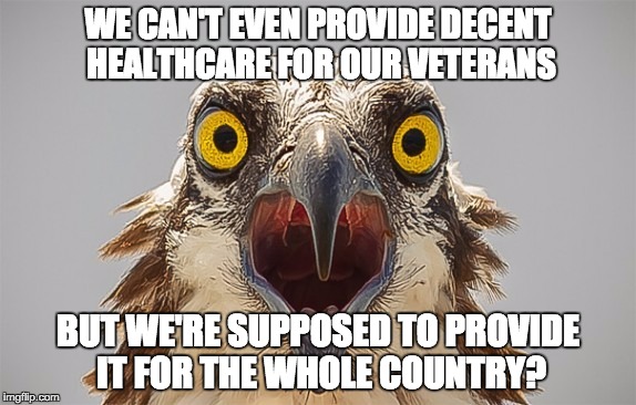 say what bird | WE CAN'T EVEN PROVIDE DECENT HEALTHCARE FOR OUR VETERANS; BUT WE'RE SUPPOSED TO PROVIDE IT FOR THE WHOLE COUNTRY? | image tagged in say what bird | made w/ Imgflip meme maker