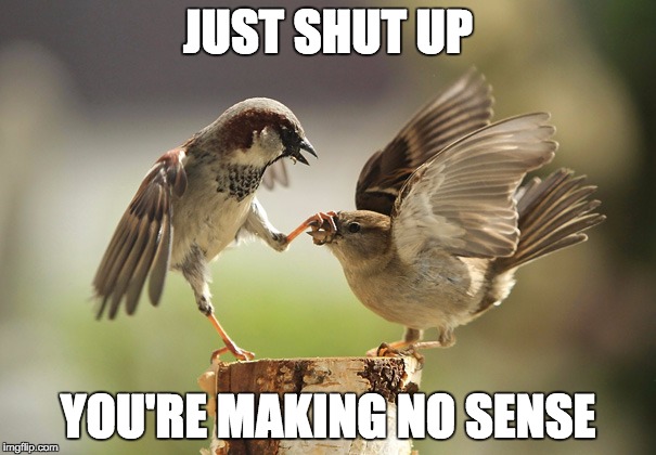 JUST SHUT UP; YOU'RE MAKING NO SENSE | image tagged in just shut up | made w/ Imgflip meme maker