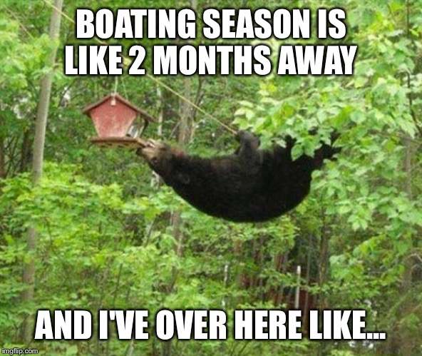 Bear on a boat  |  BOATING SEASON IS LIKE 2 MONTHS AWAY; AND I'VE OVER HERE LIKE... | image tagged in boat,beach,summer | made w/ Imgflip meme maker
