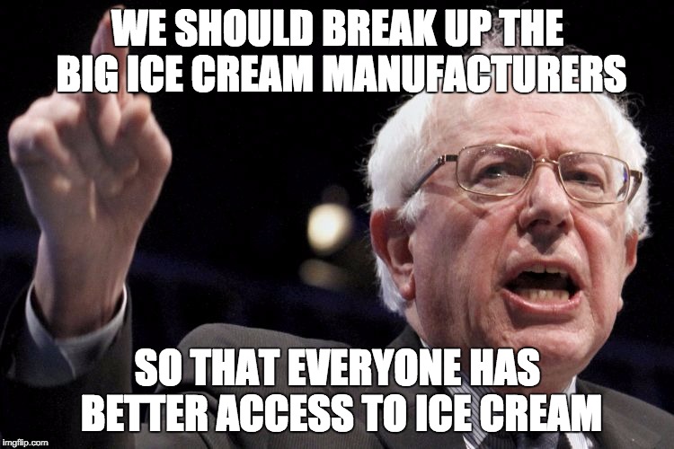 Bernie Sanders | WE SHOULD BREAK UP THE BIG ICE CREAM MANUFACTURERS; SO THAT EVERYONE HAS BETTER ACCESS TO ICE CREAM | image tagged in bernie sanders | made w/ Imgflip meme maker