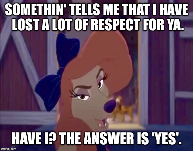 I Lost A Lot Of Respect For Ya | SOMETHIN' TELLS ME THAT I HAVE LOST A LOT OF RESPECT FOR YA. HAVE I? THE ANSWER IS 'YES'. | image tagged in dixie,memes,disney,the fox and the hound 2,reba mcentire,dog | made w/ Imgflip meme maker