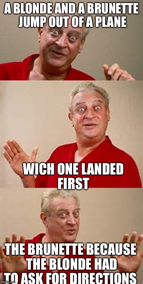 Get the joke | A BLONDE AND A BRUNETTE JUMP OUT OF A PLANE; WICH ONE LANDED FIRST; THE BRUNETTE BECAUSE THE BLONDE HAD TO ASK FOR DIRECTIONS | image tagged in bad pun dangerfield | made w/ Imgflip meme maker