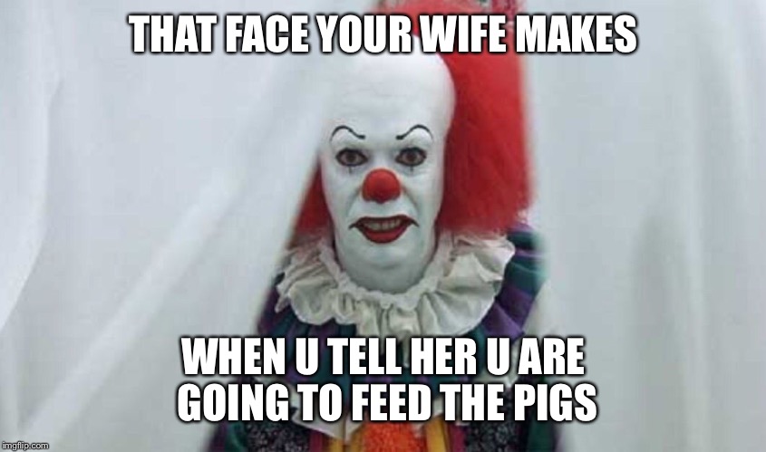 Pennywise  | THAT FACE YOUR WIFE MAKES; WHEN U TELL HER U ARE GOING TO FEED THE PIGS | image tagged in pennywise | made w/ Imgflip meme maker
