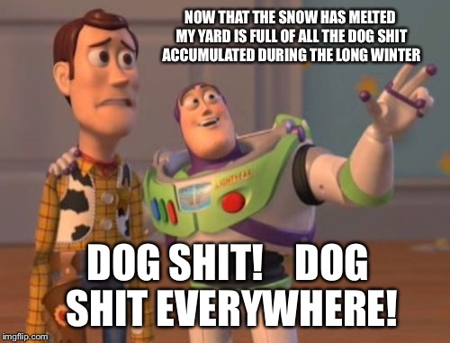 X, X Everywhere Meme | NOW THAT THE SNOW HAS MELTED MY YARD IS FULL OF ALL THE DOG SHIT ACCUMULATED DURING THE LONG WINTER; DOG SHIT!    DOG SHIT EVERYWHERE! | image tagged in memes,x x everywhere | made w/ Imgflip meme maker