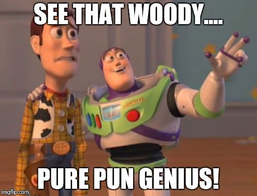 X, X Everywhere Meme | SEE THAT WOODY.... PURE PUN GENIUS! | image tagged in memes,x x everywhere | made w/ Imgflip meme maker