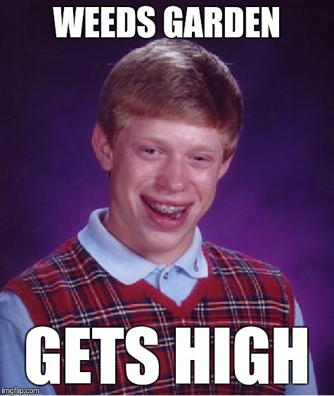 Bad Luck Brian | WEEDS GARDEN; GETS HIGH | image tagged in memes,bad luck brian,funny,don't do drugs kids you'll turn into a gardener,those aren't flowers,don't burn that | made w/ Imgflip meme maker