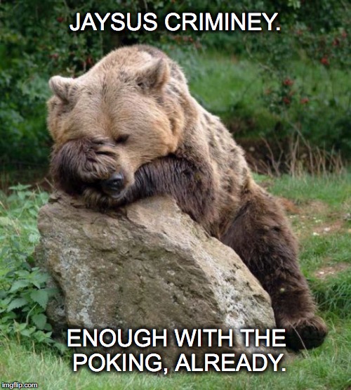 Seriously. WTH does the FB poke accomplish anyway?! | JAYSUS CRIMINEY. ENOUGH WITH THE POKING, ALREADY. | image tagged in poking the bear,poke the bear,funny meme,annoyed bear,jaysus criminey,enough with the poking already | made w/ Imgflip meme maker