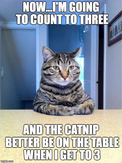 Don't Make Me Scratch You... | NOW...I'M GOING TO COUNT TO THREE; AND THE CATNIP BETTER BE ON THE TABLE WHEN I GET TO 3 | image tagged in memes,take a seat cat | made w/ Imgflip meme maker
