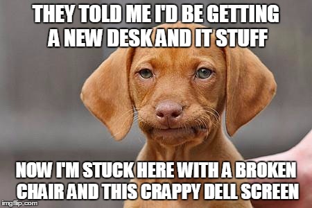 Dissapointed puppy | THEY TOLD ME I'D BE GETTING A NEW DESK AND IT STUFF; NOW I'M STUCK HERE WITH A BROKEN CHAIR AND THIS CRAPPY DELL SCREEN | image tagged in dissapointed puppy | made w/ Imgflip meme maker