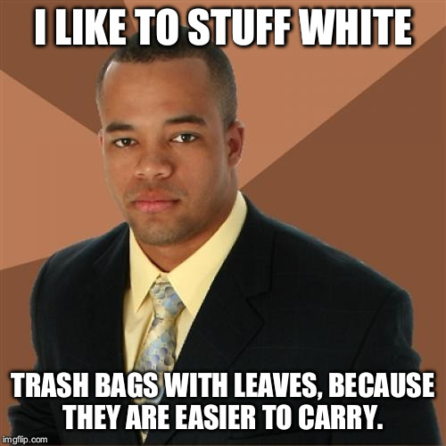 Successful Black Man | I LIKE TO STUFF WHITE; TRASH BAGS WITH LEAVES, BECAUSE THEY ARE EASIER TO CARRY. | image tagged in memes,successful black man | made w/ Imgflip meme maker