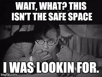 WAIT, WHAT? THIS ISN'T THE SAFE SPACE I WAS LOOKIN FOR. | made w/ Imgflip meme maker