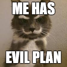Evil kitty | ME HAS; EVIL PLAN | image tagged in cat meme,funnymemes,funny cat memes | made w/ Imgflip meme maker
