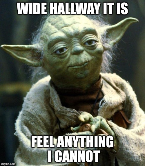 Star Wars Yoda Meme | WIDE HALLWAY IT IS FEEL ANYTHING I CANNOT | image tagged in memes,star wars yoda | made w/ Imgflip meme maker