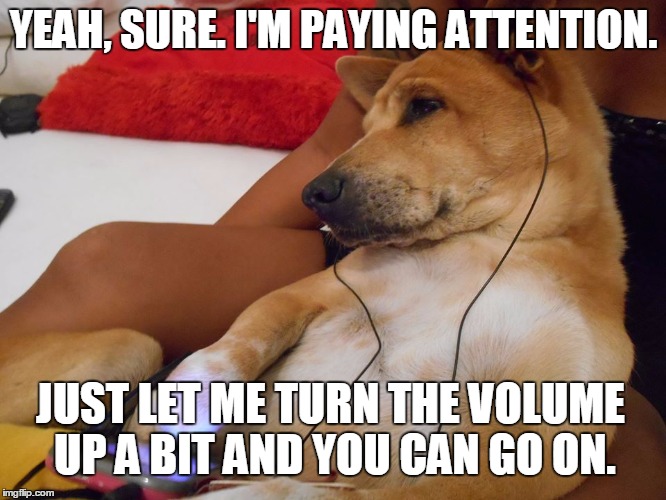 doge music | YEAH, SURE. I'M PAYING ATTENTION. JUST LET ME TURN THE VOLUME UP A BIT AND YOU CAN GO ON. | image tagged in doge music | made w/ Imgflip meme maker