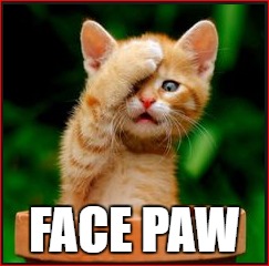 When dogs do some thing stupid | FACE PAW | image tagged in funny meme,cat meme,funny cat memes | made w/ Imgflip meme maker