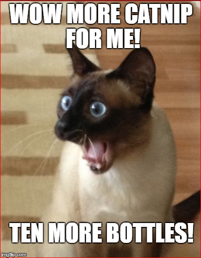Too much catnip | WOW MORE CATNIP FOR ME! TEN MORE BOTTLES! | image tagged in cat meme,funny meme,funny cat memes | made w/ Imgflip meme maker