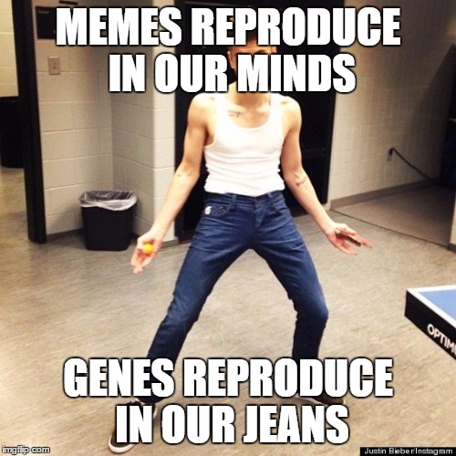 skinny jeans | MEMES REPRODUCE IN OUR MINDS; GENES REPRODUCE IN OUR JEANS | image tagged in skinny jeans | made w/ Imgflip meme maker