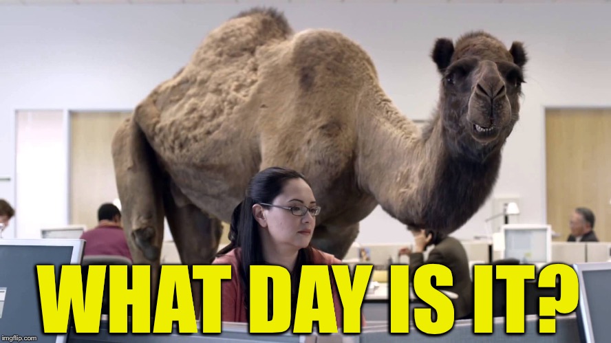 WHAT DAY IS IT? | image tagged in hump daaay | made w/ Imgflip meme maker